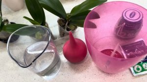 Адаптация деток орхидеи 1,7 и 2,5 весной🌺 Как поливать орхидеи подростков? 🌺 #orchid #орхидеибабочк