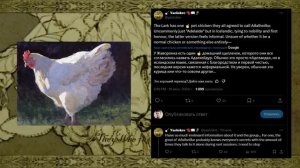 ПОЛНЫЙ РАЗБОР YAELOKRE | ПЕРСОНАЖИ, ЛОР, HARPY HARE