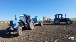 Тракторы Мтз 952 и 82 опрыскивают поле перед посевом кукурузы!