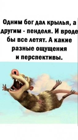 Верю на слово😅