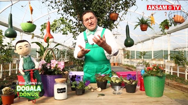 Bitkiler Radyasyonu Engeller Mi? | #DoğalaDönüş смотреть онлайн