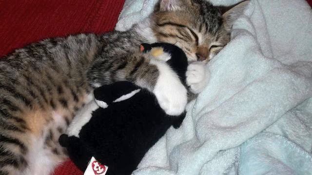 Песня из рекламы. Просто хит! Душа полетела! смотреть онлайн