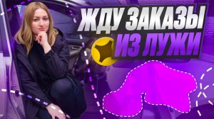 ЖДУ ЗАКАЗЫ ИЗ ЛУЖИ В ЯНДЕКС ПРО ДОСТАВКА/Огромный простой и отсутствие спроса/Курьер на своем авто