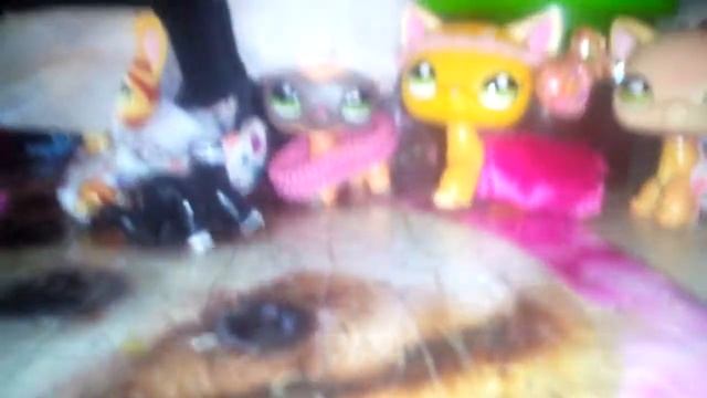 LPS влог(что происходит за кадром?!}}😏)1 серия смотреть онлайн