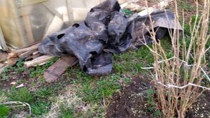 Привела в порядок клубнику. Новые идеи.