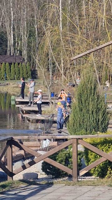 Поимки форели смотреть онлайн