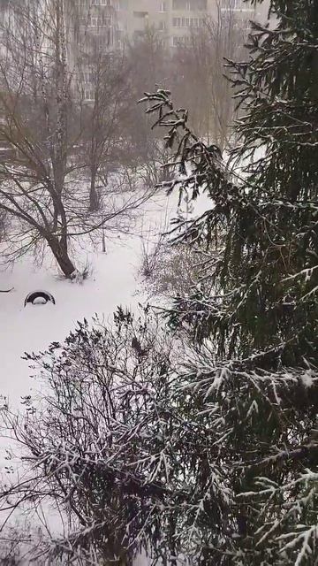 Зима урааамоилюбимки зима листиккексикмишуткатвимз животные крысы ratslove