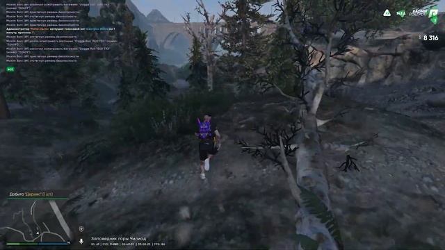 Radmir #1 | Заработок в час в корпорации |  GTA 5