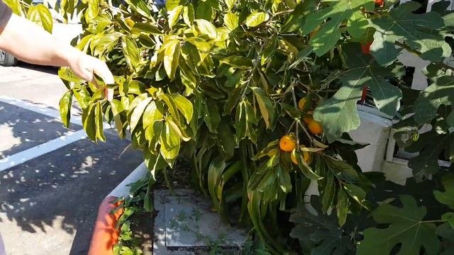 8 Октября в Сочи хорошая погода