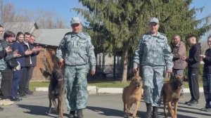 В Челябинске торжественно проводили кинологов и их четвероногих напарников на заслуженный отдых