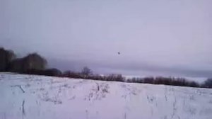 Тренировка балобана 4.mp4