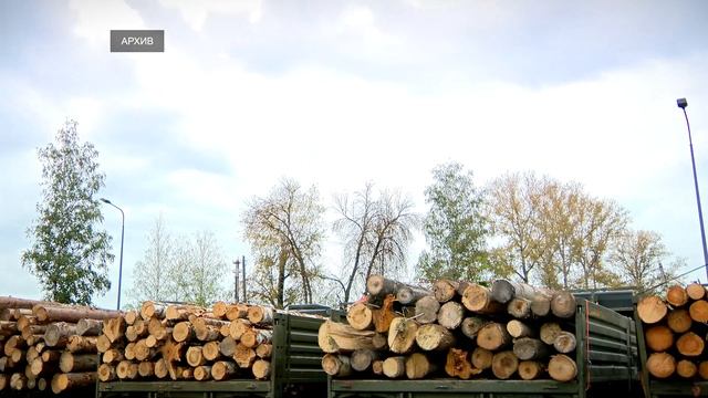 Тверская область продолжает оказывать поддержку военнослужащим, выполняющим задачи в ходе СВО