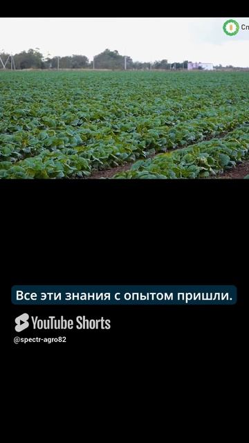 У меня нет образования агронома, знания пришли с опытом.