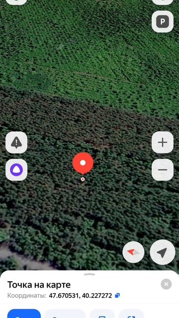 Гос услуги! Юмор!😁