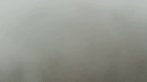 Южная Озерейка 2018