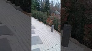 парк Голицына в Краснодаре обзор