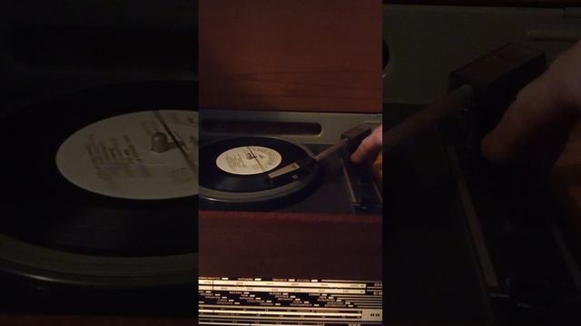 VID_20250417_182738