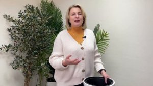 Горшок и кашпо: в чем разница?