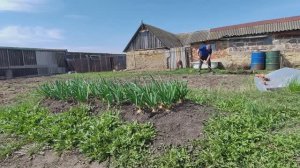 Спокойная жизнь с животными в маленькой деревне России