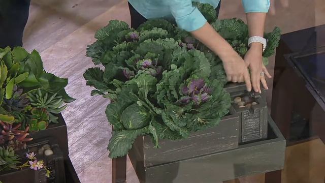 Bernini Garden Self-Watering Planter with Fountain on QVC смотреть онлайн