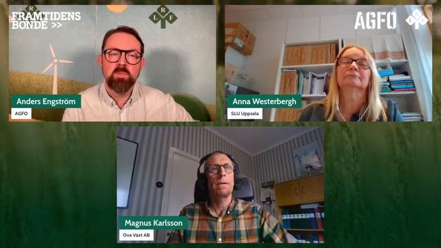 Framtidens grödor – så kan perenna spannmål stärka svenskt jordbruk смотреть онлайн