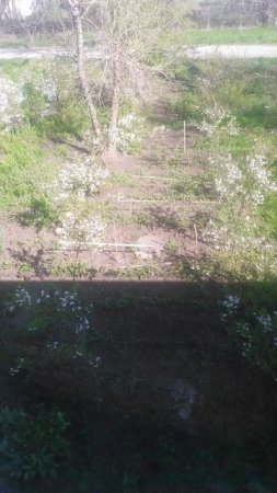 VID_20250409_095308