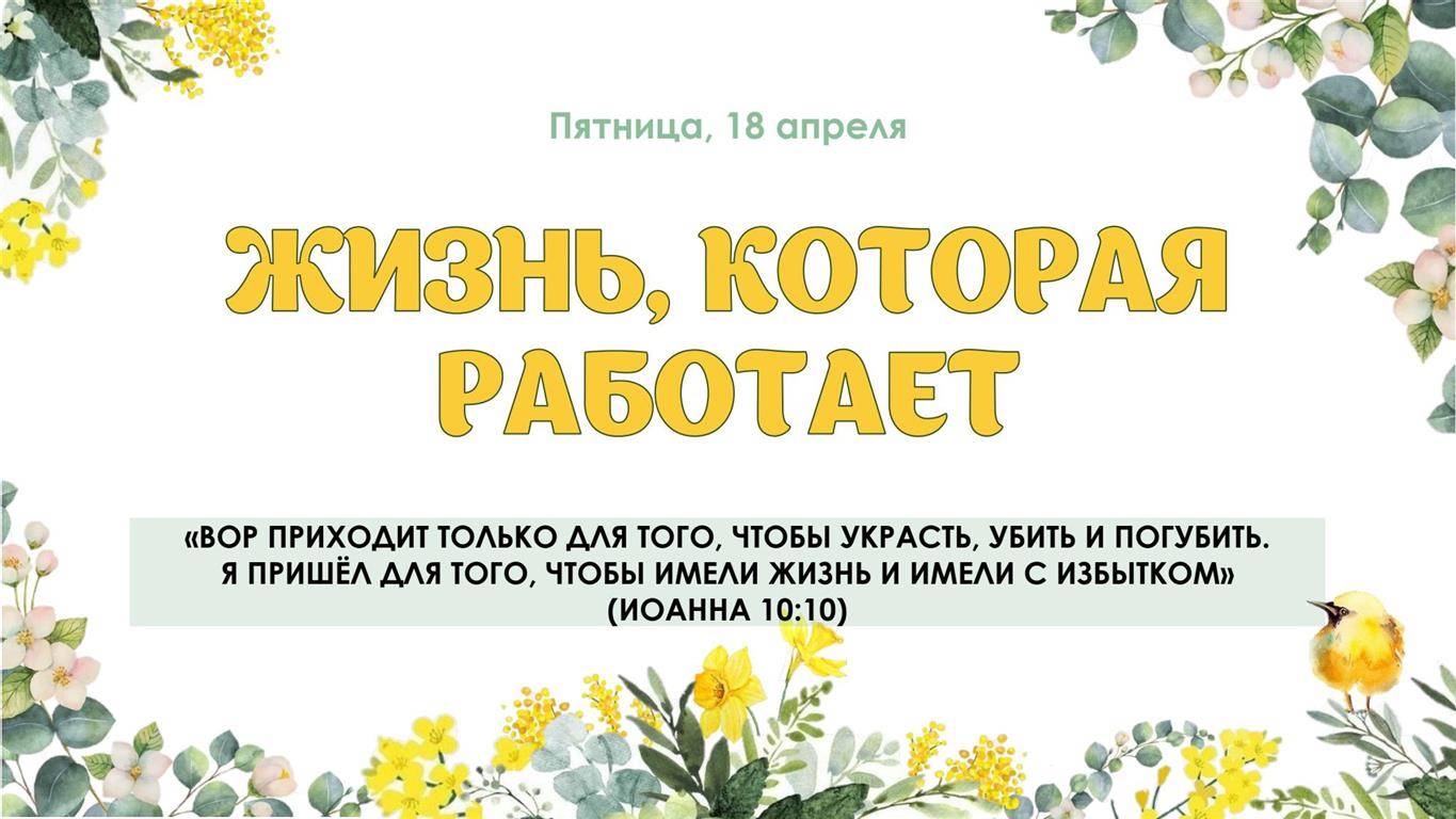 Жизнь которая работает