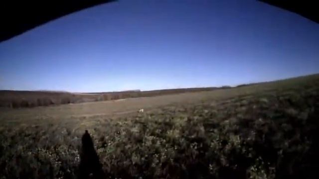 Задержка перепела смотреть онлайн