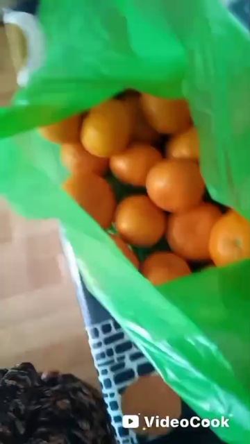 VID-20250418-WA0008.mp4