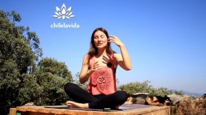 Все о медитациях по Джо Диспенза - Мой опыт _ Йога chilelavida