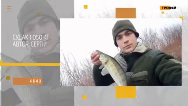 Телеканал Трофей. Фотоальбом (4641-4645).