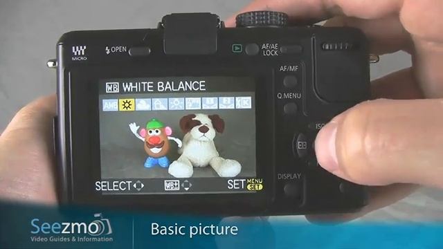Panasonic GF1: Basic Picture Guide смотреть онлайн