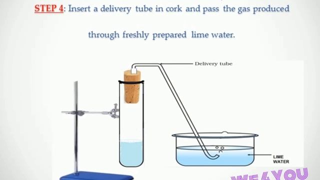 Class 10 || science ncert || activity 4.9 || carbon and its compounds || chemistry || chapter 4