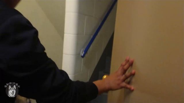 𝘽𝙐𝙄𝙇𝘿𝙄𝙉𝙂 𝙁𝙄𝙍𝙀 𝘼𝙇𝘼𝙍𝙈 | four legged super hero | short film | alusky cypher смотреть онлайн