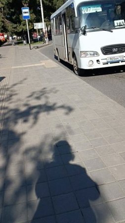Очень интересный автобус идет по одному маршруту но под двумя номерами