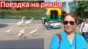 Откуда гуси на заправке 🪿😁😃🤩