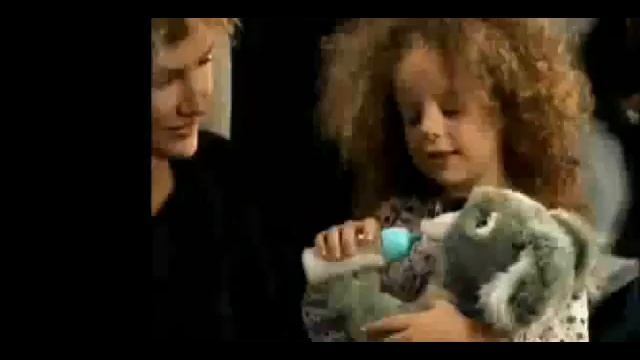 Koala Kinder vs Sergente Hartman.avi смотреть онлайн