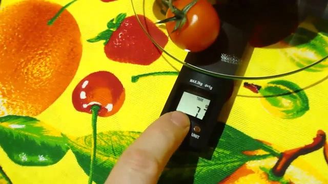 GL DS2 смотреть онлайн