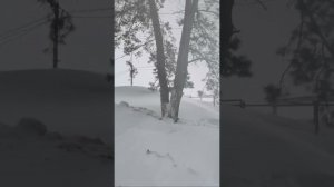 МЕТЕЛЬ_ТОЛЬЯТТИ_ИТАЛЬЯНСКИЙ ПЛЯЖ -YOUTUBE