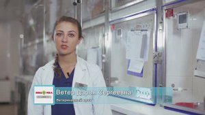Лечение домашних животных. Когда домашнему животному требуется лечение в стационаре_