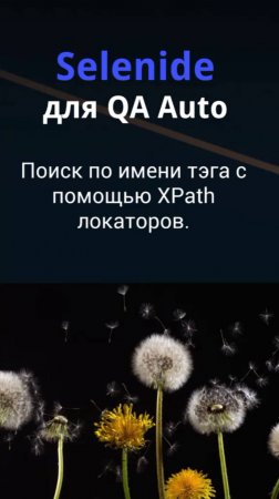 Selenide для QA Auto. Поиск по имени тэга с помощью XPath локаторов.