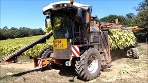 НЕОБЫЧНЫЕ МАШИНЫ, РЕДКИЕ МЕХАНИЗМЫ И УНИКАЛЬНАЯ ТЕХНИКА СЕЛЬСКОГО ХОЗЯЙСТВА ✦ 116 ✦ Lucky Tech