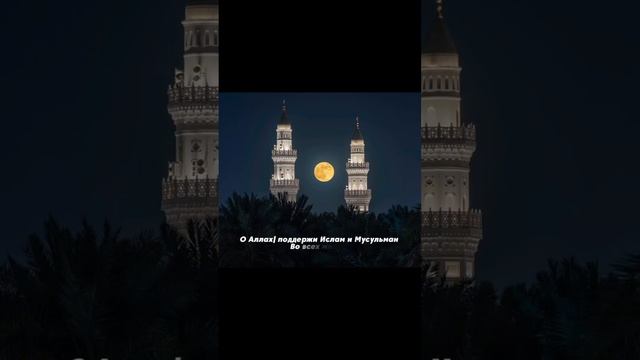 Махди аш-Шишани. Дуа Кунут. Рамадан 2025 г.