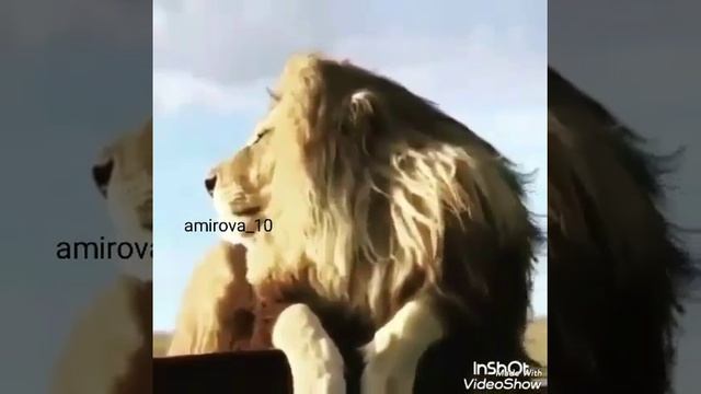 КРА