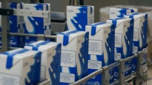 "Производство молока" для группы предприятий Янта