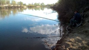 Река Медведица Петрович на рыбалке 18 04 2025 г