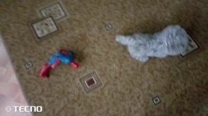 не бомба 2 неизвестная рука 6