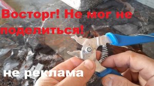 ВОСТОРГ - НЕ МОГ НЕ ПОДЕЛИТЬСЯ