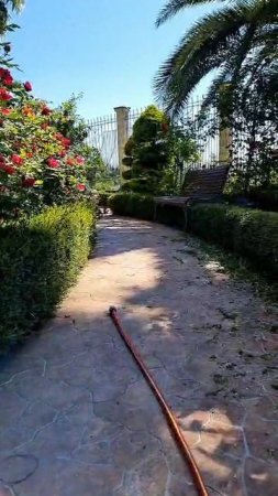 В наличии и под заказ(копка)
Доставка СДЕК по 🇷🇺89612709840 Макар Владимирович.