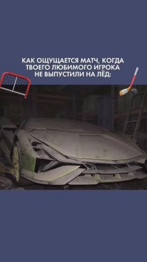 5646797852987830063